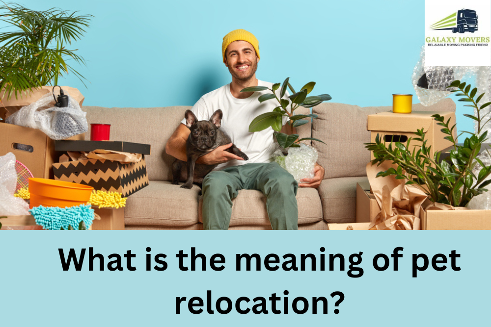 What is the meaning of pet relocation?